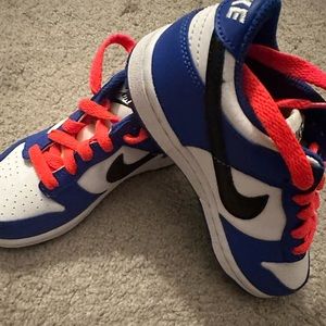 Brand New Toddler Dunks